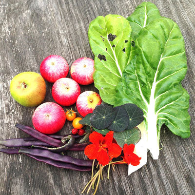 Eat and Choose Organic