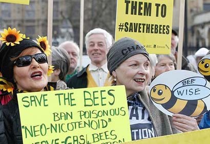 A Campaign For Bumblebee Workers’ Rights