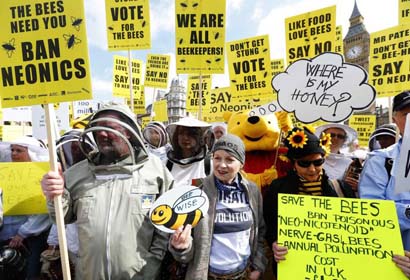 A Campaign For Bumblebee Workers’ Rights